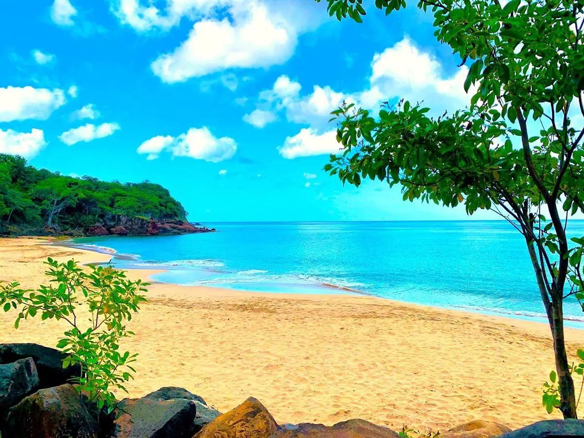 Villa Karumaya - Deshaies A 100M De La Plage.